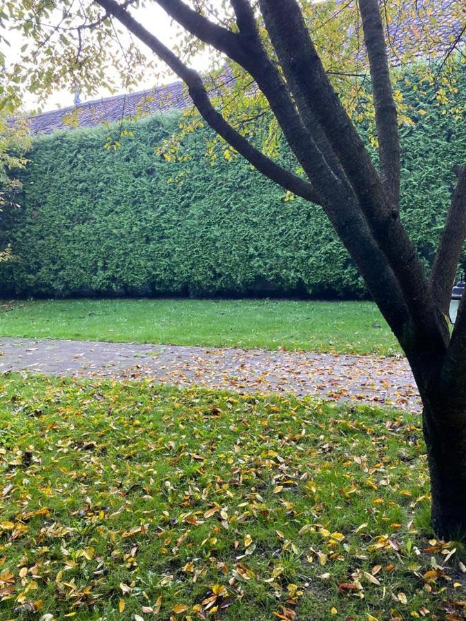 Apartaments Rîşnov Exteriör bild